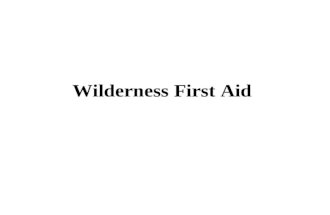 Wilderness First Aid. Basic Essentials Hat Sunscreen Insect Repellant Boots Long pants (long sleeves) Rain gear Meat Tenderizer.