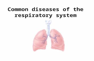 Common diseases of the respiratory system. Pneumonia Lobar pneumonia –Comlaints Pain Fever – continuous Cough - sputum –Inspection Dyspnea Cyanosis Labial.