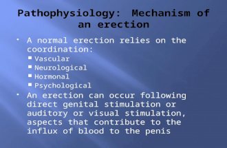 A normal erection relies on the coordination:  Vascular  Neurological  Hormonal  Psychological  An erection can occur following direct genital stimulation.