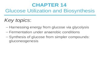 CHAPTER 14 Glucose Utilization and Biosynthesis –Harnessing energy from glucose via glycolysis –Fermentation under anaerobic conditions –Synthesis of glucose.