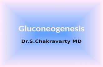 Dr.S.Chakravarty MD. Gluconeogenesis is the process of synthesizing glucose or glycogen from non-carbohydrate precursors.
