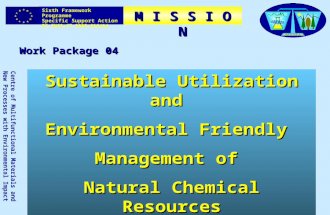 Work Package 04 Sixth Framework Programme Specific Support Action EC-INCO-CT-2005-016414 Centre of Multifunctional Materials and New Processes with Environmental.