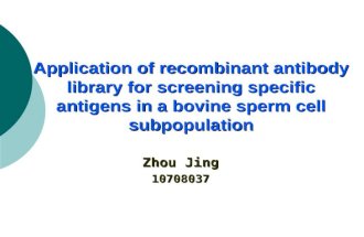 Application of recombinant antibody library for screening specific antigens in a bovine sperm cell subpopulation Zhou Jing 10708037.