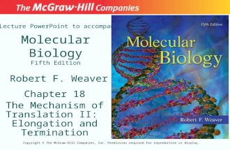 Molecular Biology Fifth Edition Chapter 18 The Mechanism of Translation II: Elongation and Termination Lecture PowerPoint to accompany Robert F. Weaver.