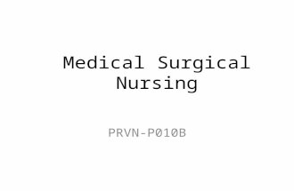 Medical Surgical Nursing PRVN-P010B. Elizabeth Keele Mrs. MOM P.T.A. C.N.A. Psych. Tech. LPN BSN RN CN DON DSD DOE CRRN Instructor!