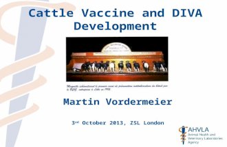 Cattle Vaccine and DIVA Development Martin Vordermeier 3 rd October 2013, ZSL London.
