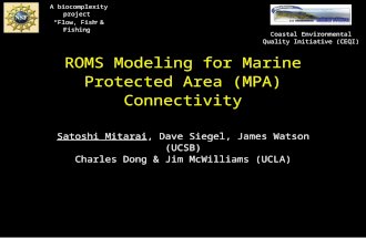 ROMS Modeling for Marine Protected Area (MPA) Connectivity Satoshi Mitarai, Dave Siegel, James Watson (UCSB) Charles Dong & Jim McWilliams (UCLA) A biocomplexity.
