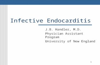 1 Infective Endocarditis J.B. Handler, M.D. Physician Assistant Program University of New England.