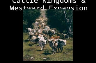 Cattle Kingdoms & Westward Expansion. Spanish Origins *The Spanish first brought cattle & horses to Texas -By early 1800’s: nearly 1 million wild longhorns.