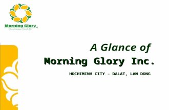 A Glance of Morning Glory Inc. HOCHIMINH CITY – DALAT, LAM DONG.