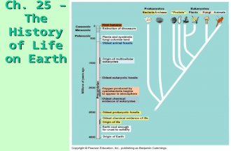 Ch. 25 – The History of Life on Earth. Lost Worlds Macroevolution Broad pattern of evolution above the species levels Terrestrial vertebrates Mass extinctions.