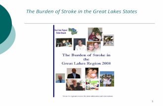 1 The Burden of Stroke in the Great Lakes States.