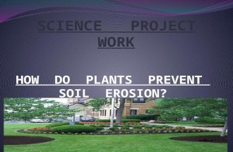 HOW DO PLANTS PREVENT SOIL EROSION?. HOW TO PREVENT SOIL EROSION Did you know that soil erosion is a natural process that normally causes little problems?
