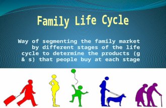 Way of segmenting the family market by different stages of the life cycle to determine the products (g & s) that people buy at each stage.