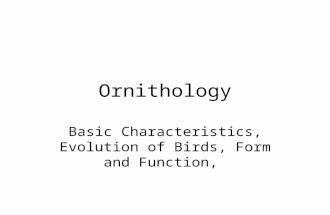 Ornithology Basic Characteristics, Evolution of Birds, Form and Function,