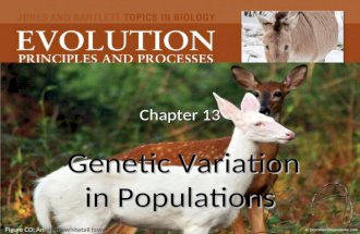 Chapter 13 Genetic Variation in Populations Figure CO: An albino whitetail fawn © Srcromer/Dreamstime.com.