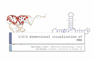 1/2/3 dimensional visualization of RNA Yann Ponty (VARNA), CNRS/Ecole Polytechnique, France Jim Procter (JalView), University of Dundee, UK.