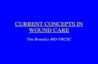 CURRENT CONCEPTS IN WOUND CARE Tim Brandys MD FRCSC.