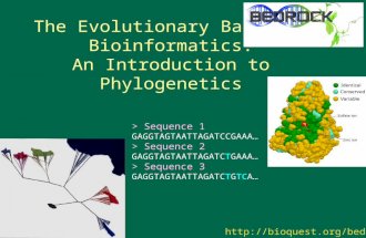 The Evolutionary Basis of Bioinformatics: An Introduction to Phylogenetics  > Sequence 1 GAGGTAGTAATTAGATCCGAAA… > Sequence.