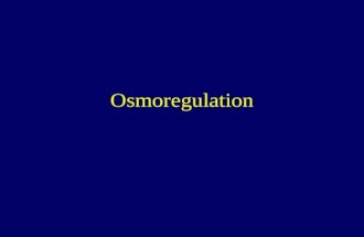 Osmoregulation. Many adaptations of marine organisms have to do with maintaining HOMEOSTASIS. The living machinery inside most organisms is sensitive.