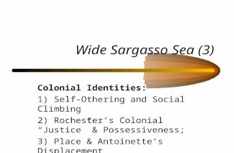 Wide Sargasso Sea (3) Colonial Identities: 1) Self-Othering and Social Climbing 2) Rochester’s Colonial “Justice” & Possessiveness; 3) Place & Antoinette’s.