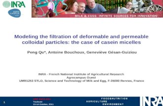 Modeling the filtration of deformable and permeable colloidal particles: the case of casein micelles Peng Qu*, Antoine Bouchoux, Geneviève Gésan-Guiziou.