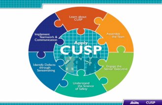 Learning Objectives Review key steps of the CUSP Toolkit Learn how Just Culture principles can augment CUSP 2 Introduce Just Culture principles.