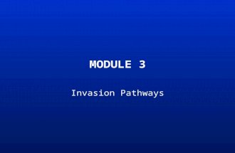 MODULE 3 Invasion Pathways. Learning Outcomes At the end of this module you should be able to: –explain why and how introductions occur –list some invasion.