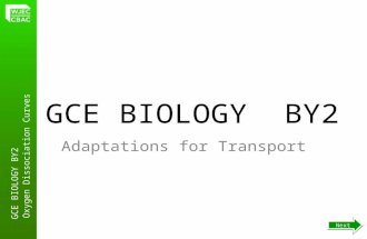 GCE BIOLOGY BY2 Oxygen Dissociation Curves GCE BIOLOGY BY2 Adaptations for Transport Next.