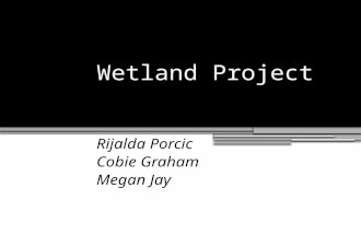 Wetland Project Rijalda Porcic Cobie Graham Megan Jay.