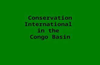 Conservation International in the Congo Basin. CI’s GLOBAL STRATEGY Hotspots: those areas with the highest biodiversity under the greatest threat (over.