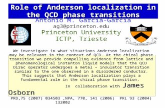 Role of Anderson localization in the QCD phase transitions Antonio M. García-García ag3@princeton.edu Princeton University ICTP, Trieste We investigate.