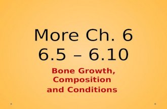 More Ch. 6 6.5 – 6.10 Bone Growth, Composition and Conditions.