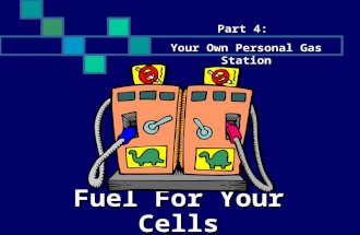 Fuel For Your Cells Part 4: Your Own Personal Gas Station.