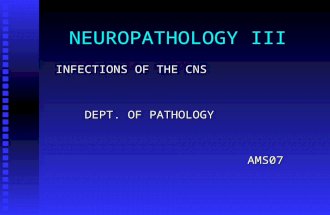 NEUROPATHOLOGY III INFECTIONS OF THE CNS DEPT. OF PATHOLOGY DEPT. OF PATHOLOGY AMS07 AMS07.