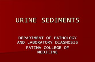 URINE SEDIMENTS DEPARTMENT OF PATHOLOGY AND LABORATORY DIAGNOSIS FATIMA COLLEGE OF MEDICINE.