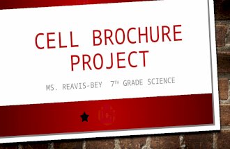 CELL BROCHURE PROJECT MS. REAVIS-BEY 7 TH GRADE SCIENCE.