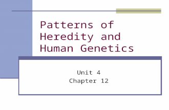 Patterns of Heredity and Human Genetics Unit 4 Chapter 12.
