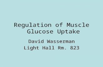 Regulation of Muscle Glucose Uptake David Wasserman Light Hall Rm. 823.
