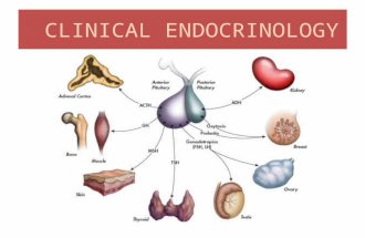 CLINICAL ENDOCRINOLOGY. OBJECTIVES: 1.Explain why the endocrine system is so closely related to the nervous system. 2.Distinguish between an endocrine.