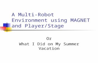 A Multi-Robot Environment using MAGNET and Player/Stage Or What I Did on My Summer Vacation.