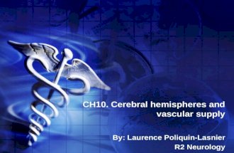 CH10. Cerebral hemispheres and vascular supply By: Laurence Poliquin-Lasnier R2 Neurology.