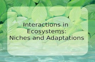 Interactions in Ecosystems: Niches and Adaptations.
