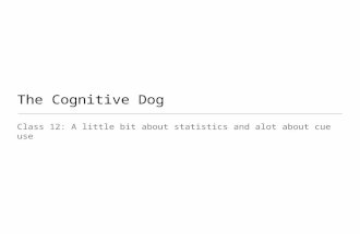 The Cognitive Dog Class 12: A little bit about statistics and alot about cue use.