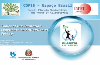 COP16 – Espaço Brasil Marcelo Morgado Environmental Advisor to the CEO Cancun, 10/12/10 Planeta Sustentável – The Power of Collectivity Panel: Planeta.