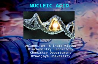 Aulani "Biokimia" Presentation 9 NUCLEIC ACID Aulanni’am & indra Wibowo Biochemistry Laboratory Chemistry Departement Brawijaya University.