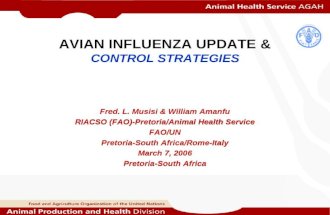 AVIAN INFLUENZA UPDATE & CONTROL STRATEGIES Fred. L. Musisi & William Amanfu RIACSO (FAO)-Pretoria/Animal Health Service FAO/UN Pretoria-South Africa/Rome-Italy.
