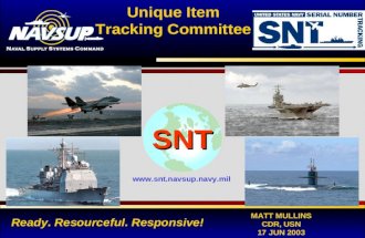 NAVAL SUPPLY SYSTEMS COMMAND 1 Ready. Resourceful. Responsive! MATT MULLINS CDR, USN 17 JUN 2003 SNT  Unique Item Tracking Committee.