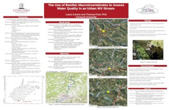 The Use of Benthic Macroinvertebrates to Assess Water Quality in an Urban WV Stream Laura Canton and Thomas Ford, PhD Concord University Brush Creek ~Originates.