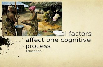 How cultural factors affect one cognitive process Education.